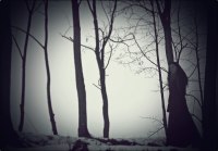 photo : ... | photographer : gundega ( лютик )
