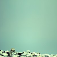 фото : - ... - | фотограф : zeroin