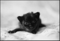photo : Юм | photographer : yoyk