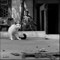 photo : про Веру и Зяську | photographer : yoyk