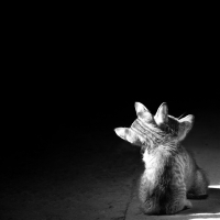 photo : Laren &Mousic | photographer : [ascate]