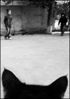 photo : среди миров | photographer : yoyk