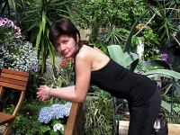 photo : Flowers