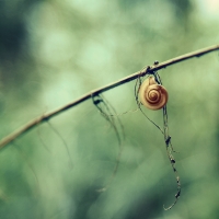 photo : *** | photographer : Alona Spectorman
