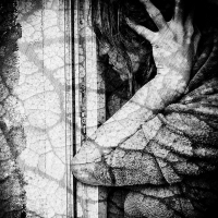 photo : * | photographer : Ira Loiter