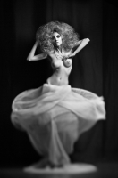 photo : #175 | photographer : Mike Panin