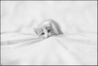 photo : Чуи | photographer : yoyk