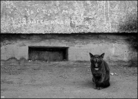 photo : счастье моё,я з... | photographer : yoyk