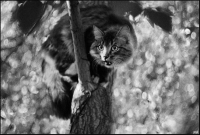 photo : мозаики событий | photographer : yoyk