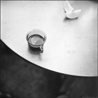 photo : cup & orang... | photographer : Юрий