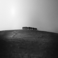 photo : the hill II | photographer : mnbn
