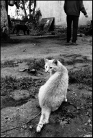 photo : среди миров | photographer : yoyk