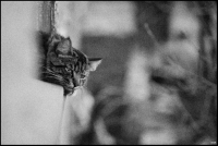 photo : жучий | photographer : yoyk