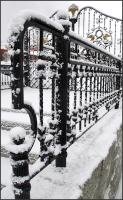 photo : The winter is back | photographer : Piter Chinnoff