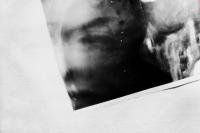 photo : swan | photographer : el