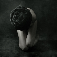 photo : Photo N:2388414 | photographer : Jarosław Datta