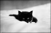 photo : Зюка | photographer : yoyk