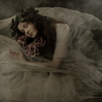 photo : Photo N:2401894 | photographer : Jarosław Datta