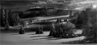 photo: ***