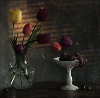 photo : Вечер | photographer : Надежда Романова