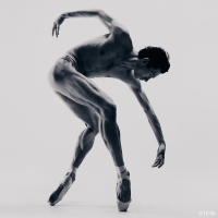 photo : ... | photographer : Vadim Stein