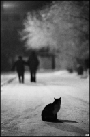 photo : среди миров | photographer : yoyk