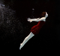 photo : Red Fly III. | photographer : Petr Kleiner