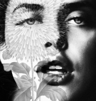 photo : macrocosm | photographer : Maria Zhikhareva