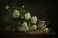 photo : *** | photographer : Galina Ryabikova