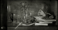 photo : ... | photographer : Н. button