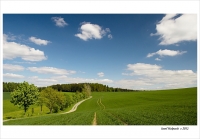 photo : wandering paths | photographer : Josef Holpuch