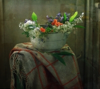photo : Подарок из деревни | photographer : Elly