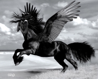 photo : Mythologirl | photographer : Potography & Digital Art