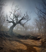 photo: Warder of the Valley of Ghosts