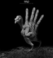 photo : Gen 2 | photographer : Potography & Digital Art