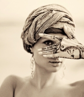 photo: The Secret