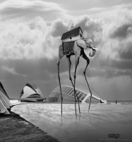 photo : Distortion in t... | photographer : Potography & Digital Art