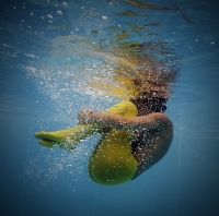 photo : Yellow | photographer : Petr Kleiner