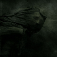 photo : Photo N:2464258 | photographer : Jarosław Datta
