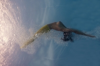 photo : yellow II. | photographer : Petr Kleiner