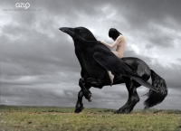 photo : Gen3 | photographer : Potography & Digital Art