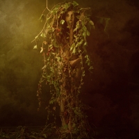 photo : Photo N:2478430 | photographer : Jarosław Datta