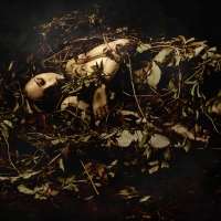 photo : Photo N:2478571 | photographer : Jarosław Datta