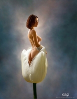 photo : TuLidia | photographer : Potography & Digital Art