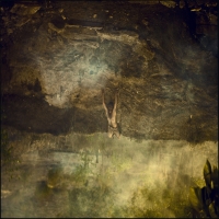 photo : * | photographer : Damian