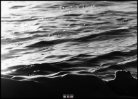 photo : волны | photographer : Ян (yanmcline ™) Маклайн