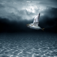 photo : GEN 6 | photographer : Potography & Digital Art