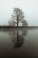 photo : Photo N:2500170 | photographer : vold