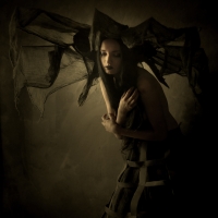 photo : Photo N:2507828 | photographer : Jarosław Datta
