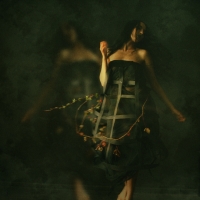 photo : Photo N:2510461 | photographer : Jarosław Datta